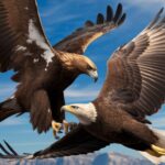 European Eagles: