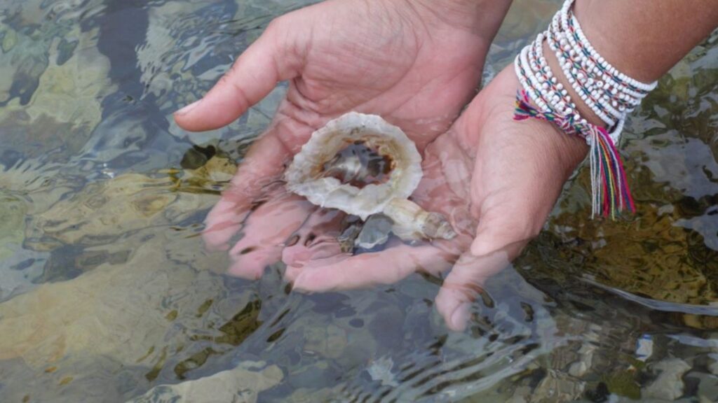 How to Pray to Mandau Spirit at the River